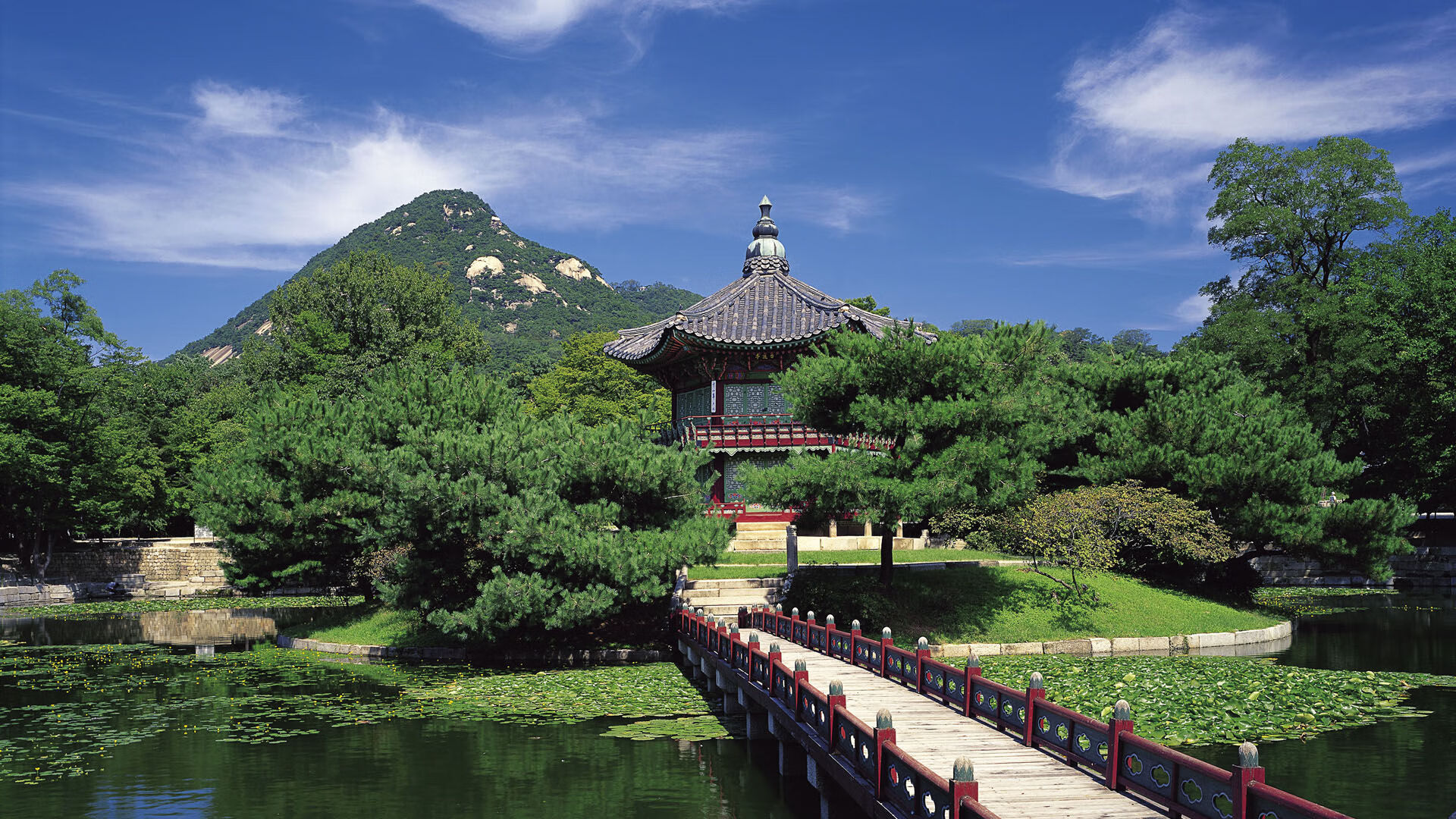 世界举重青年联赛选手出席国际学术交流,世界举重冠军赛